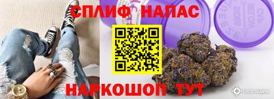гашик Балашиха