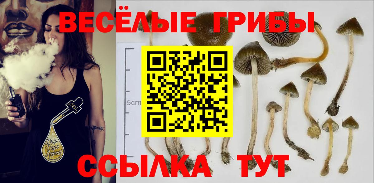 Псилоцибиновые грибы Psilocybine cubensis Донецк