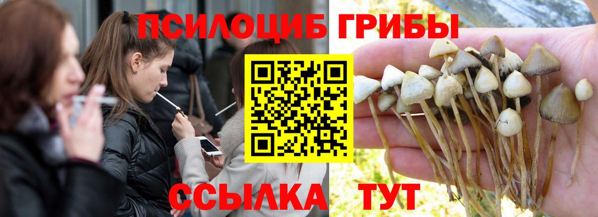 Донецк  Псилоцибиновые грибы мухоморы  Вход с VPN 